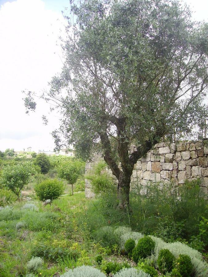 Oportonature Guilhabreu Exterior photo